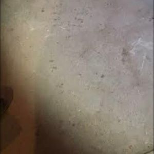 Meet your Posher, Emanuel